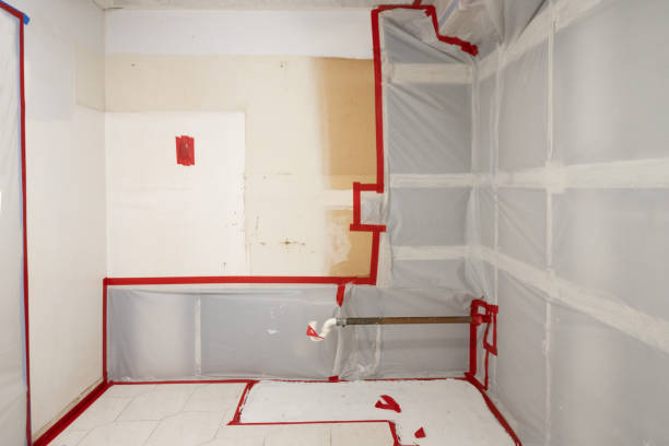 Best Commercial Mold Inspection  in Holliday, TX